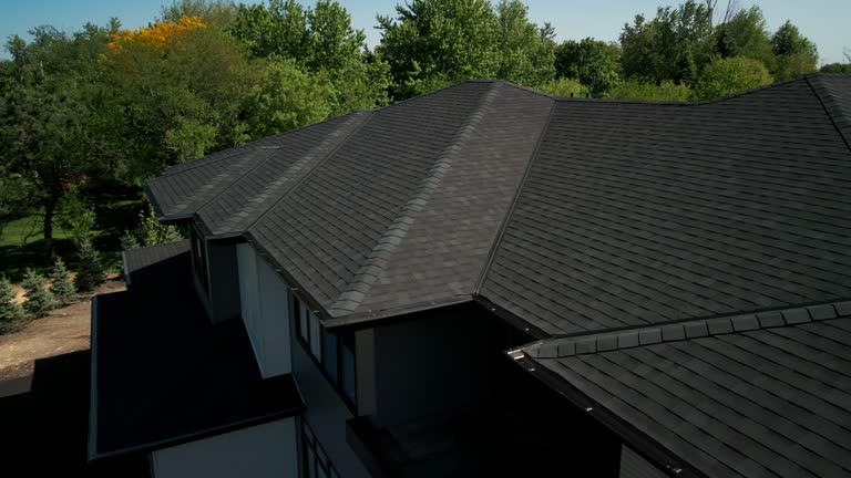 Best Green or Eco-Friendly Roofing Solutions  in Roy, UT