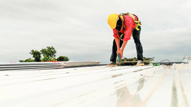 Best Storm Damage Roof Repair  in Roy, UT