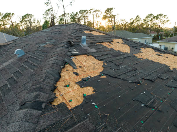 Best Asphalt Shingles Roofing  in Roy, UT
