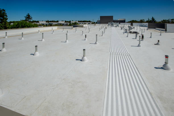 Best Steel Roofing  in Roy, UT
